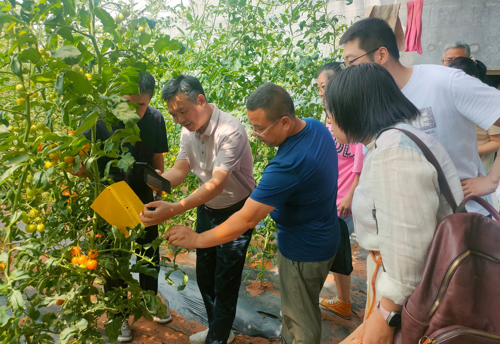 美好農(nóng)場(chǎng)2023年度國家級(jí)生態(tài)農(nóng)場(chǎng)新聞稿圖2.jpg